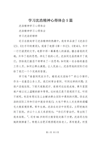 学习沈浩精神心得体会5篇 (3).docx