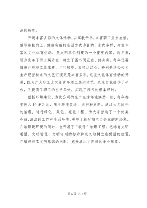 电力公司党委书记同志记功材料(2).docx
