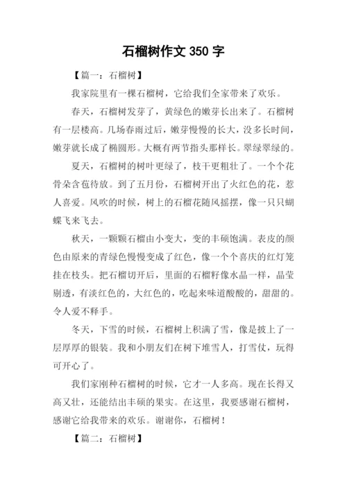 石榴树作文350字.docx