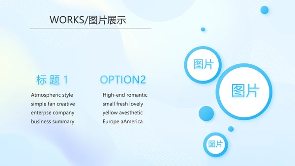 蓝色大气公司产品介绍图片展示PPT动态模板