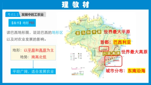 七下：美国、巴西（一轮复习课件30张） （人教版）
