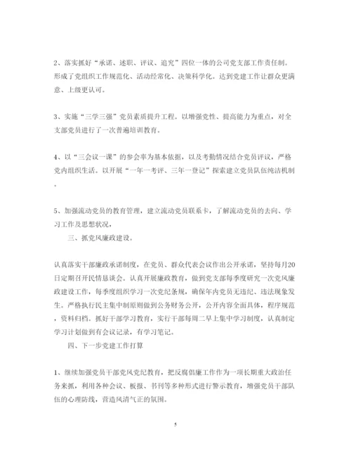 精编终党建工作述职报告范文.docx