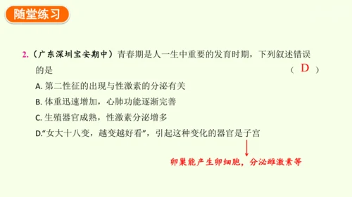 4.1.2 青春期-七年级生物下学期同步精品课件（2024人教版）(共27张PPT)