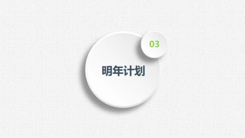 项目评估工作总结布纹质感通用PPT模板