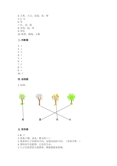 教科版一年级上册科学期末测试卷a4版.docx