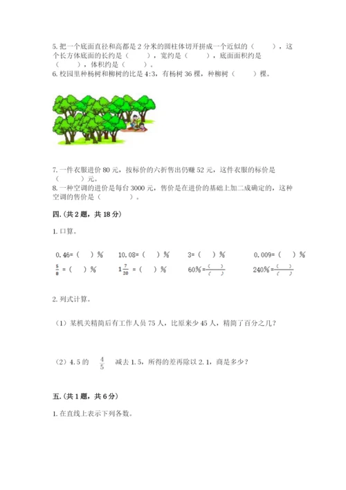 人教版数学六年级下册试题期末模拟检测卷（典优）.docx