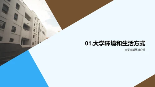 大学生活的掌舵者