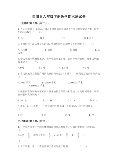 田阳县六年级下册数学期末测试卷精品附答案.docx