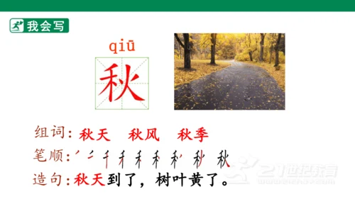 课文3 四个太阳