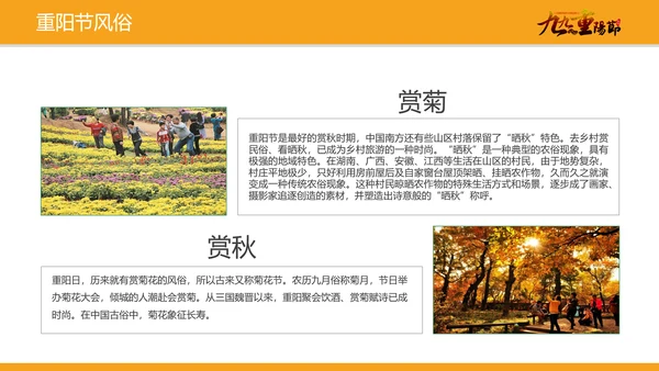 中国风卡通重阳节教学介绍PPT模板