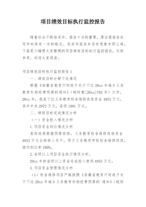 项目绩效目标执行监控报告.docx