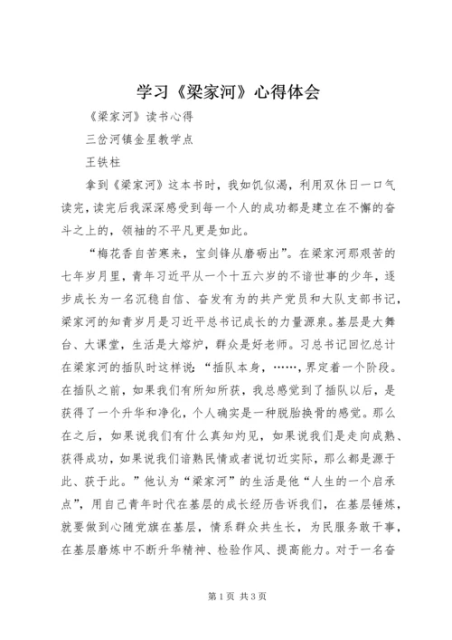 学习《梁家河》心得体会 (12).docx