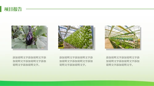 绿色发展生态农业项目报告通用PPT模板