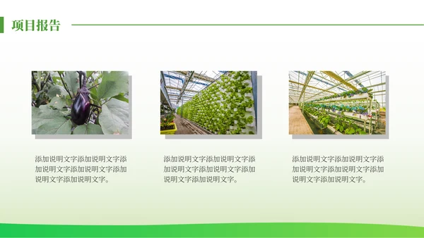 绿色发展生态农业项目报告通用PPT模板