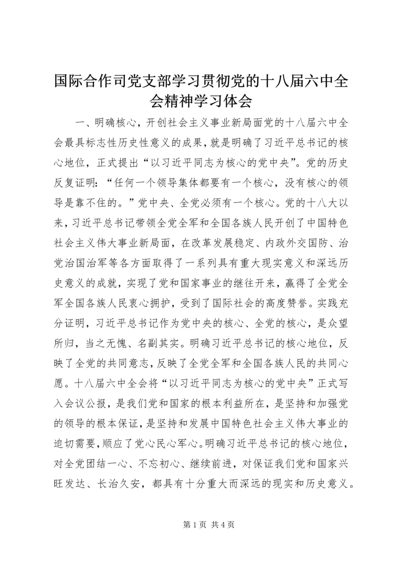 国际合作司党支部学习贯彻党的十八届六中全会精神学习体会.docx
