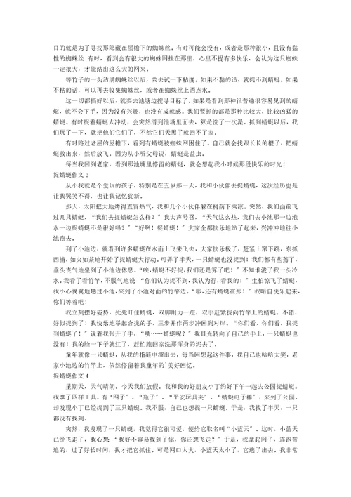 精捉蜻蜓作文10篇