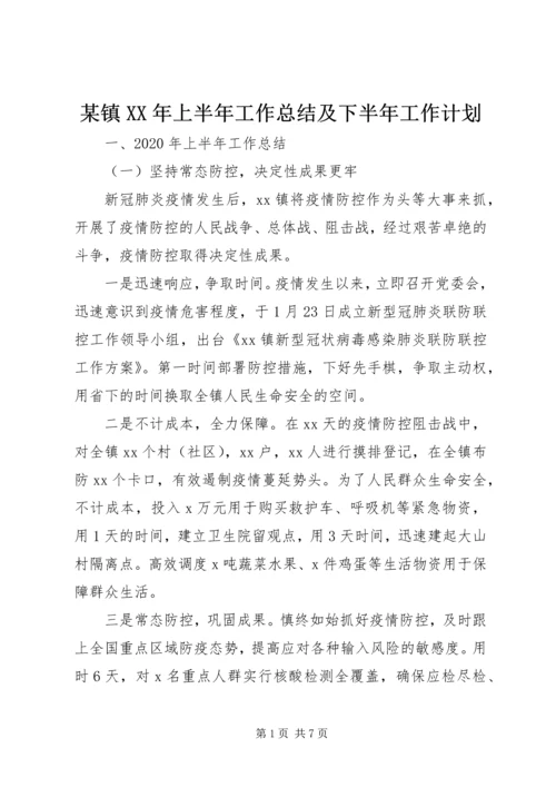 某镇XX年上半年工作总结及下半年工作计划.docx