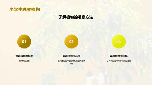 商务风教育培训教学课件PPT模板