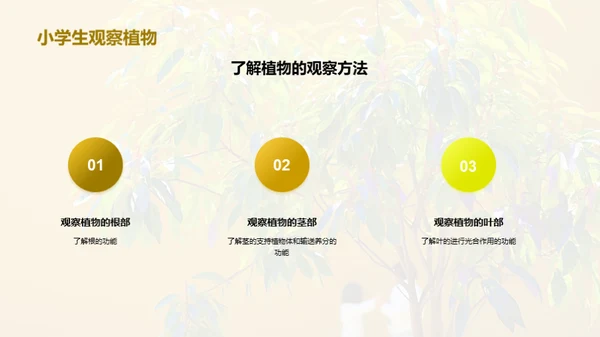 商务风教育培训教学课件PPT模板