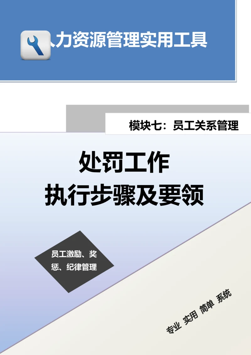 处罚工作执行步骤及要领.docx