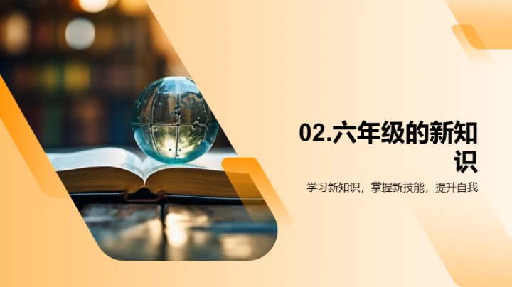 六年级：旅程回顾与展望