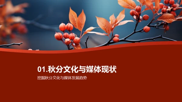 秋分文化传播新篇章