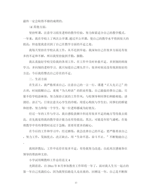 精编之小学试用期教师工作总结范文.docx