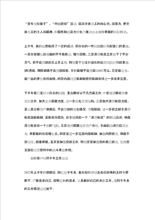 信贷客户经理上半年工作总结