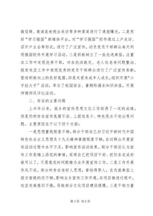 乡镇某年上半年宣传思想文化工作总结及计划.docx