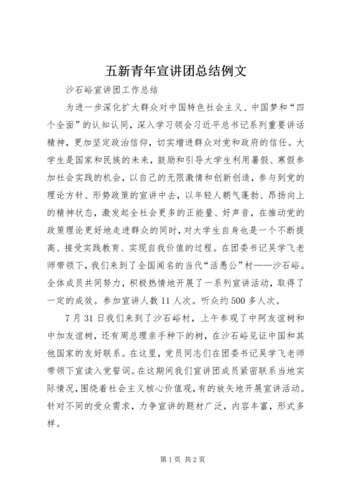 五新青年宣讲团总结例文_1.docx