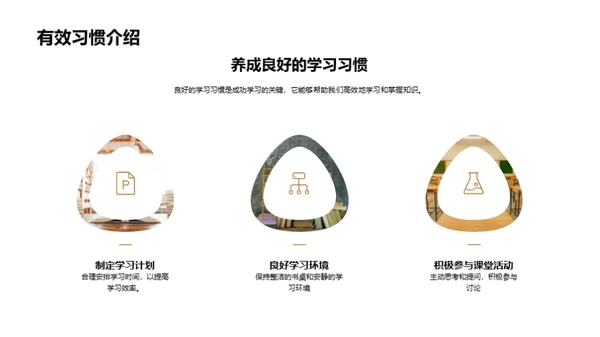 三年级学习之旅