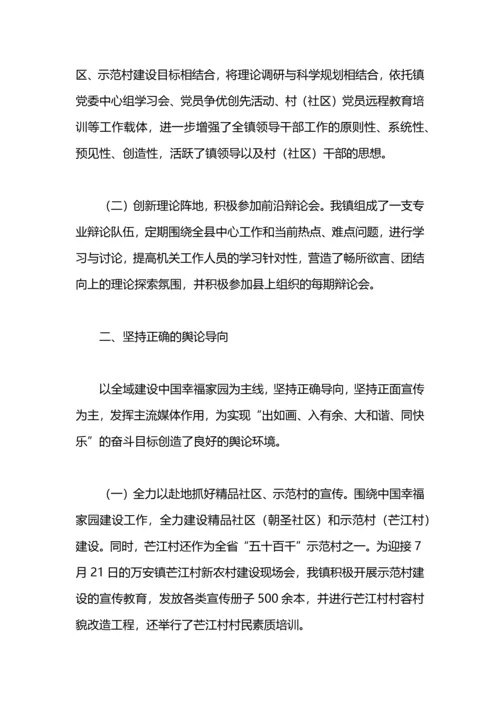 某镇宣传工作总结.docx