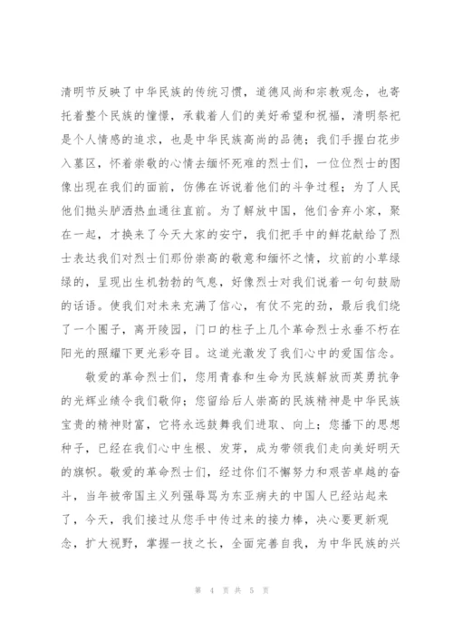 小学生清明节个人心得感悟模板集锦.docx