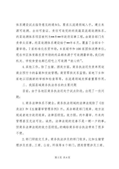 商务执法工作调研报告范文.docx