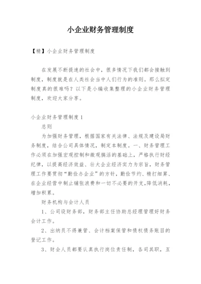 小企业财务管理制度_3.docx