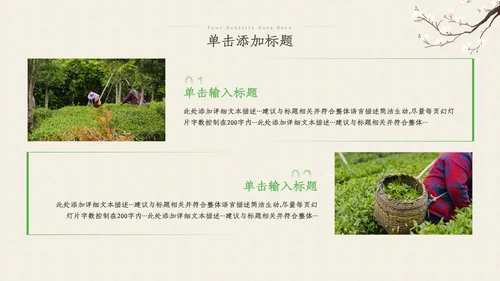 茶叶茶艺茶道春茶绿茶农村旅游茶园茶文化ppt