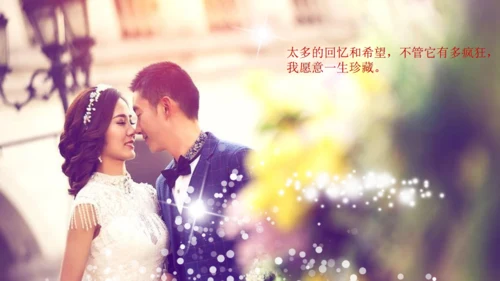 婚庆动画婚礼策划结婚吧相册通用PPT模板