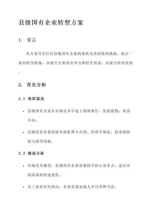 县级国有企业转型方案
