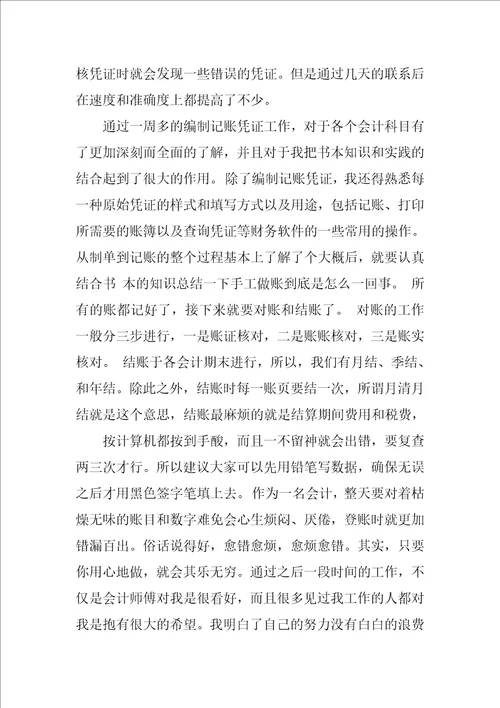 XX年会计出纳实习总结