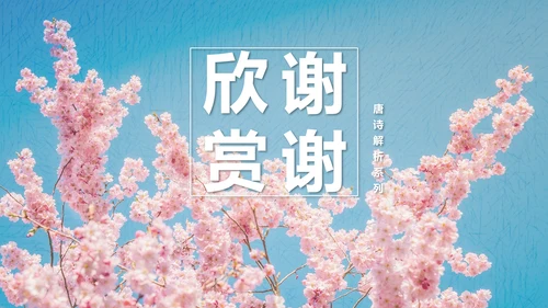 文艺小清新唐诗王维相思PPT教学课件