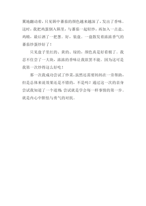 一次成功的尝试作文600字.docx