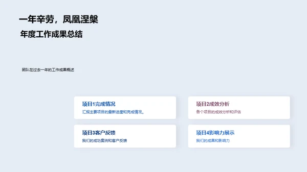 团队年度成就与展望