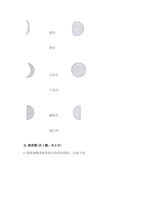 教科版科学三年级下册 期末测试卷含答案（新）.docx