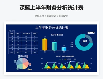 深蓝上半年财务分析统计表