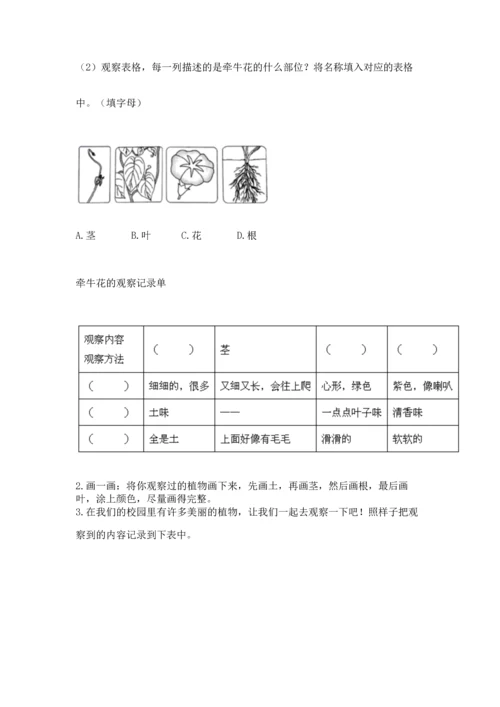 教科版科学一年级上册第一单元《植物》测试卷【实验班】.docx