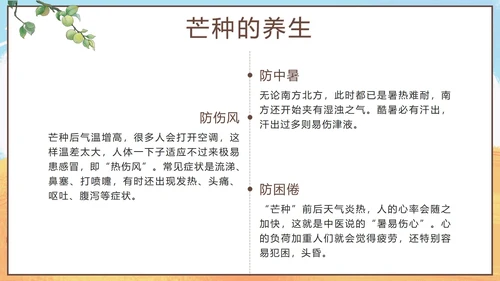 黄色卡通丰收二十四节气之芒种带内容PPT模板