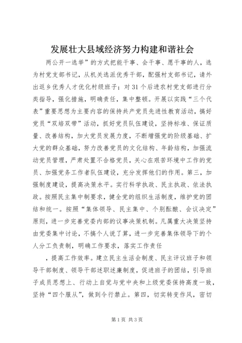 发展壮大县域经济努力构建和谐社会.docx