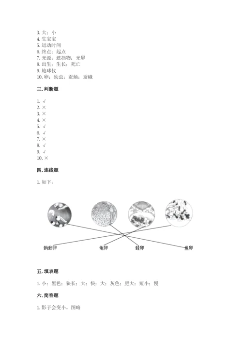 教科版三年级下册科学期末测试卷精品【全优】.docx