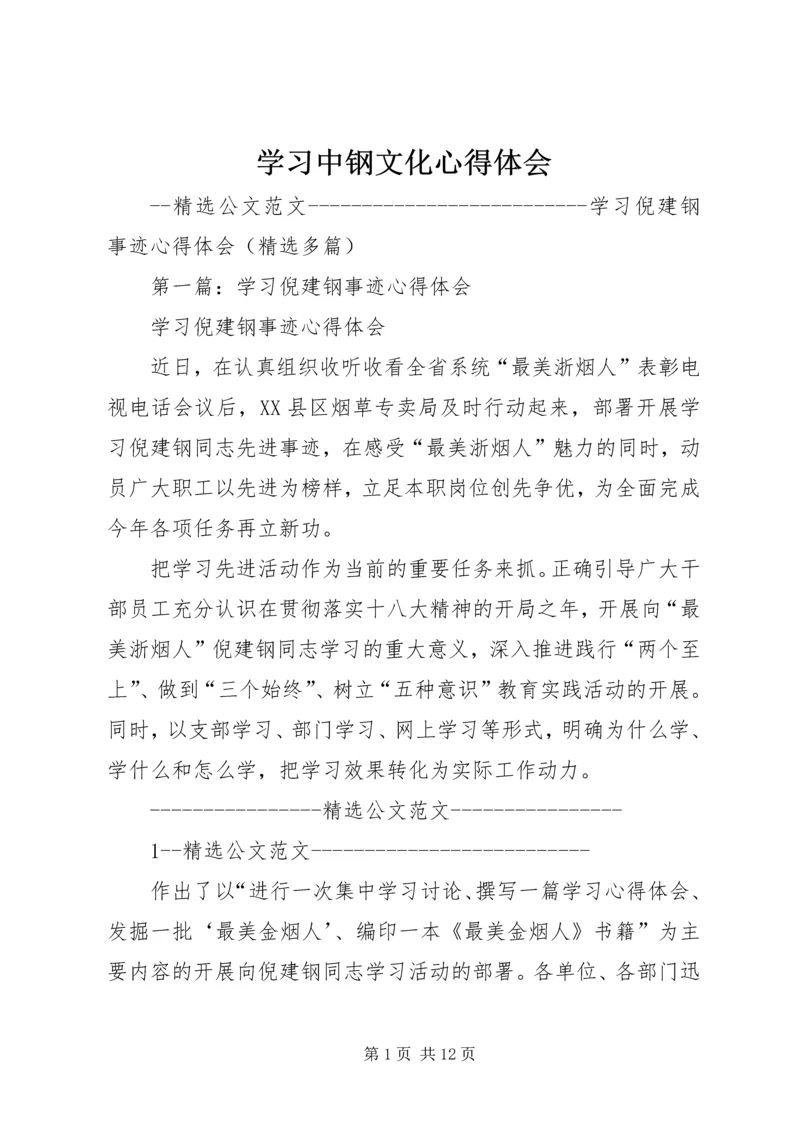 学习中钢文化心得体会 (4).docx