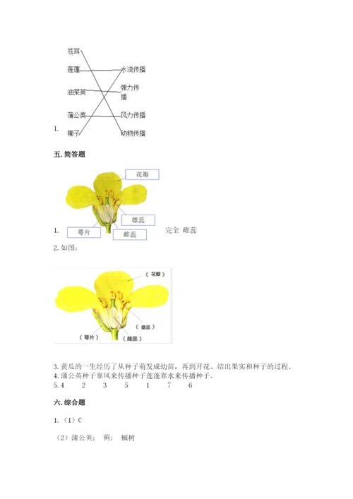 科学四年级下册第一单元植物的生长变化测试卷附完整答案（各地真题）.docx